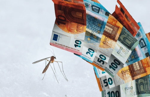 mosquitoMoney