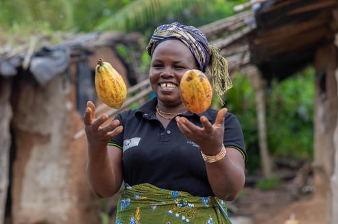 Fairtrade foundation and Zure built an automation tools and data insights for a more equitable and sustainable world.