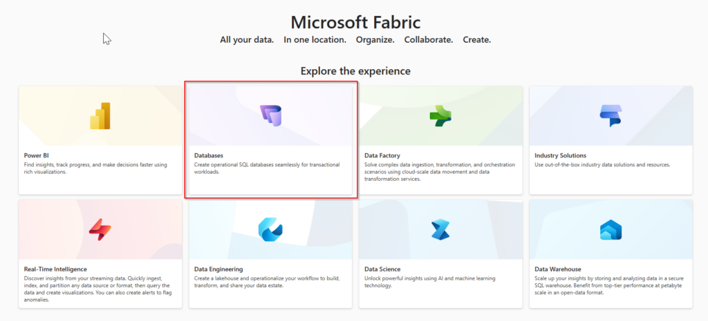 Microsoft Ignite 2024 preview of Microsoft Fabric. Microsoft Fabric opening page screen shot.